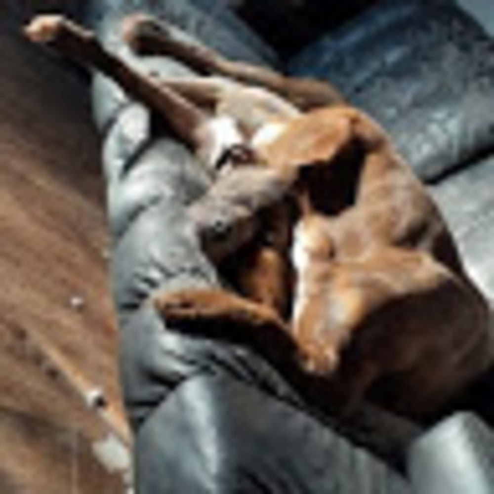 Meet your Posher, Neesa